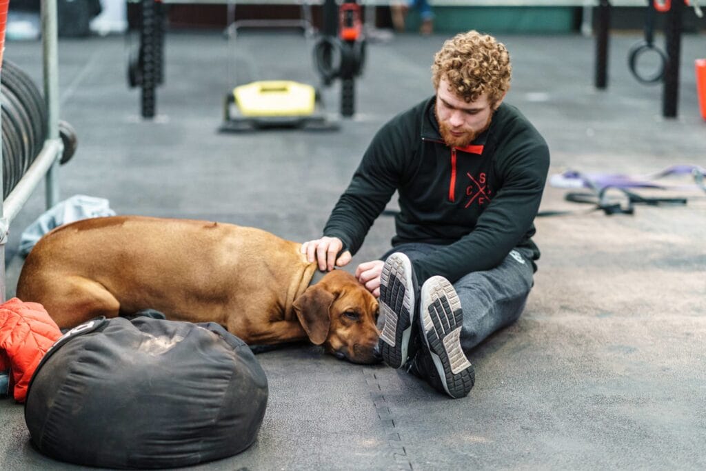 Why are you here? #2 2 138B50FD F78B 4B53 8ADB 081F763511CB scaled 1