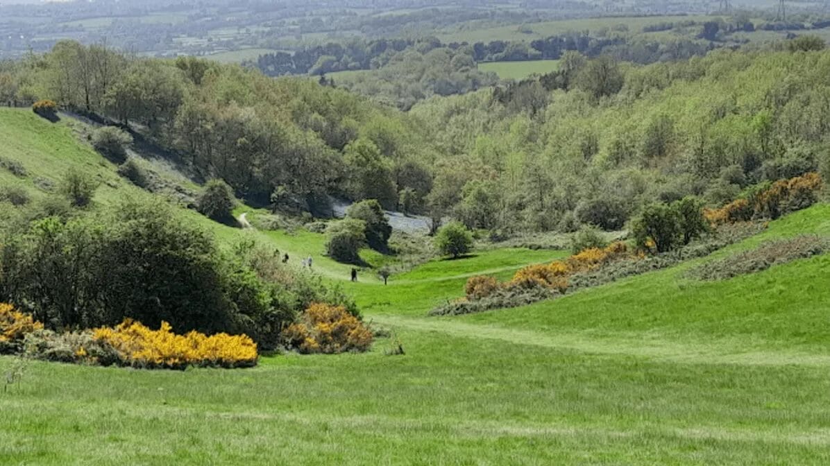 Waseley Hills - Hill Sprints