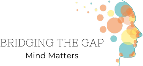 Bridging the Gap logo